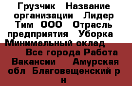 Грузчик › Название организации ­ Лидер Тим, ООО › Отрасль предприятия ­ Уборка › Минимальный оклад ­ 15 000 - Все города Работа » Вакансии   . Амурская обл.,Благовещенский р-н